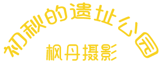 标题
